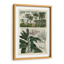 Diario De Los Trópicos I - Vision Studio | Cuadro decorativo de Canvas Lab