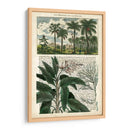 Diario De Los Trópicos I - Vision Studio | Cuadro decorativo de Canvas Lab