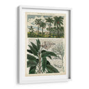 Diario De Los Trópicos I - Vision Studio | Cuadro decorativo de Canvas Lab