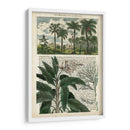 Diario De Los Trópicos I - Vision Studio | Cuadro decorativo de Canvas Lab