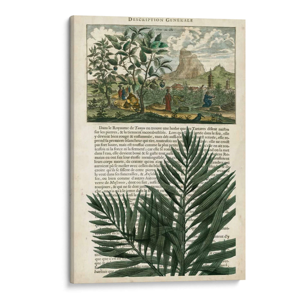 Diario De Los Trópicos Ii - Vision Studio | Cuadro decorativo de Canvas Lab