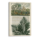 Diario De Los Trópicos Ii - Vision Studio | Cuadro decorativo de Canvas Lab