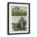 Diario De Los Trópicos Ii - Vision Studio | Cuadro decorativo de Canvas Lab
