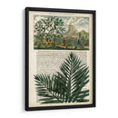 Diario De Los Trópicos Ii - Vision Studio | Cuadro decorativo de Canvas Lab