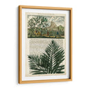 Diario De Los Trópicos Ii - Vision Studio | Cuadro decorativo de Canvas Lab