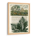 Diario De Los Trópicos Ii - Vision Studio | Cuadro decorativo de Canvas Lab