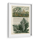 Diario De Los Trópicos Ii - Vision Studio | Cuadro decorativo de Canvas Lab