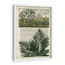 Diario De Los Trópicos Ii - Vision Studio | Cuadro decorativo de Canvas Lab