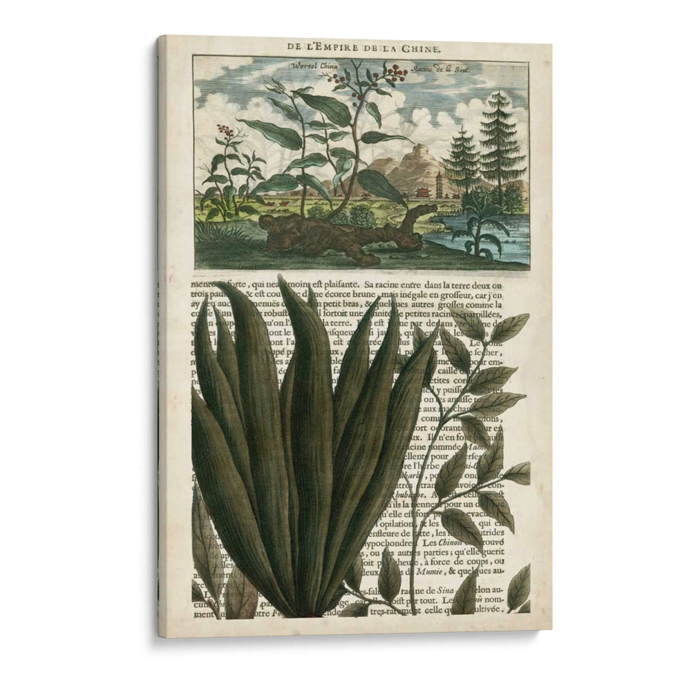Diario De Los Trópicos Iii - Vision Studio | Cuadro decorativo de Canvas Lab
