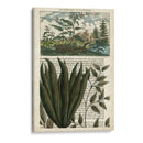 Diario De Los Trópicos Iii - Vision Studio | Cuadro decorativo de Canvas Lab