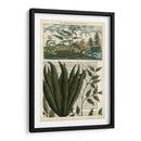 Diario De Los Trópicos Iii - Vision Studio | Cuadro decorativo de Canvas Lab