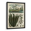 Diario De Los Trópicos Iii - Vision Studio | Cuadro decorativo de Canvas Lab