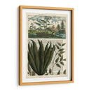 Diario De Los Trópicos Iii - Vision Studio | Cuadro decorativo de Canvas Lab