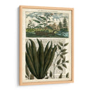 Diario De Los Trópicos Iii - Vision Studio | Cuadro decorativo de Canvas Lab