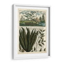 Diario De Los Trópicos Iii - Vision Studio | Cuadro decorativo de Canvas Lab