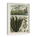 Diario De Los Trópicos Iii - Vision Studio | Cuadro decorativo de Canvas Lab