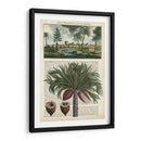 Journal Of The Tropics Iv - Vision Studio | Cuadro decorativo de Canvas Lab