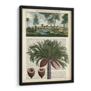 Journal Of The Tropics Iv - Vision Studio | Cuadro decorativo de Canvas Lab