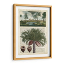 Journal Of The Tropics Iv - Vision Studio | Cuadro decorativo de Canvas Lab