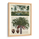 Journal Of The Tropics Iv - Vision Studio | Cuadro decorativo de Canvas Lab