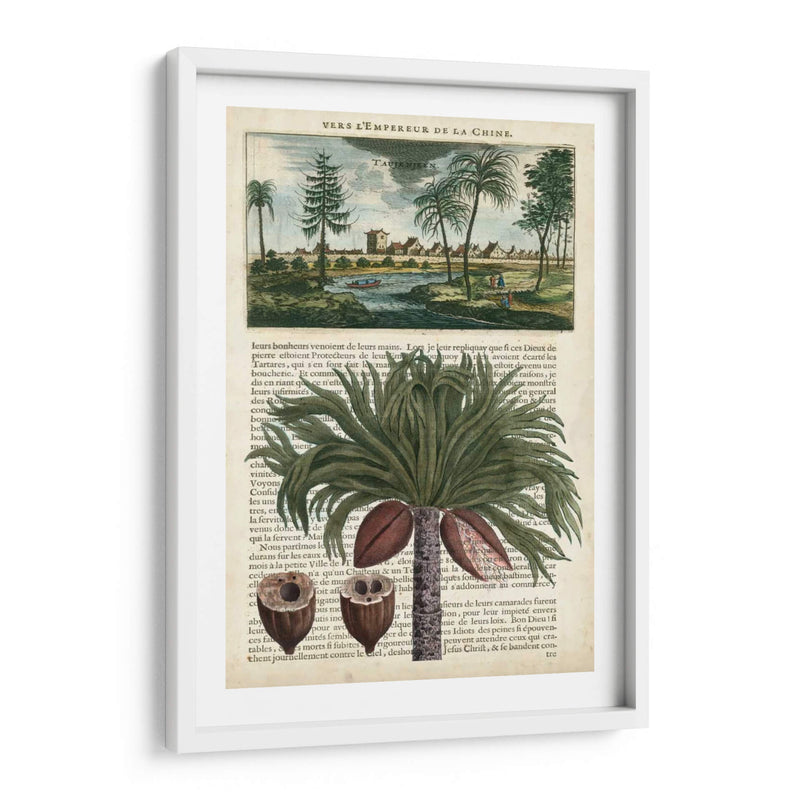 Journal Of The Tropics Iv - Vision Studio | Cuadro decorativo de Canvas Lab