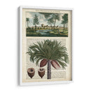 Journal Of The Tropics Iv - Vision Studio | Cuadro decorativo de Canvas Lab