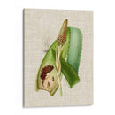 Elegantes Tropicales I - Vision Studio | Cuadro decorativo de Canvas Lab