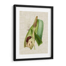 Elegantes Tropicales I - Vision Studio | Cuadro decorativo de Canvas Lab