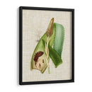 Elegantes Tropicales I - Vision Studio | Cuadro decorativo de Canvas Lab