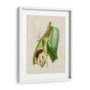 Elegantes Tropicales I - Vision Studio | Cuadro decorativo de Canvas Lab