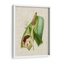 Elegantes Tropicales I - Vision Studio | Cuadro decorativo de Canvas Lab