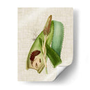 Elegantes Tropicales I - Vision Studio | Cuadro decorativo de Canvas Lab