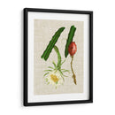 Elegantes Tropicales Ii - Vision Studio | Cuadro decorativo de Canvas Lab