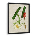 Elegantes Tropicales Ii - Vision Studio | Cuadro decorativo de Canvas Lab