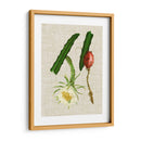 Elegantes Tropicales Ii - Vision Studio | Cuadro decorativo de Canvas Lab