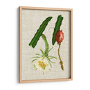 Elegantes Tropicales Ii - Vision Studio | Cuadro decorativo de Canvas Lab