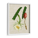 Elegantes Tropicales Ii - Vision Studio | Cuadro decorativo de Canvas Lab