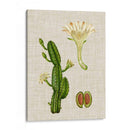 Elegantes Tropicales Iii - Vision Studio | Cuadro decorativo de Canvas Lab