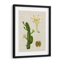 Elegantes Tropicales Iii - Vision Studio | Cuadro decorativo de Canvas Lab