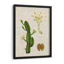 Elegantes Tropicales Iii - Vision Studio | Cuadro decorativo de Canvas Lab