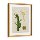 Elegantes Tropicales Iii - Vision Studio | Cuadro decorativo de Canvas Lab