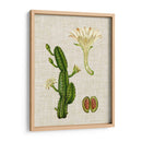 Elegantes Tropicales Iii - Vision Studio | Cuadro decorativo de Canvas Lab