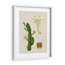 Elegantes Tropicales Iii - Vision Studio | Cuadro decorativo de Canvas Lab