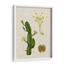 Elegantes Tropicales Iii - Vision Studio | Cuadro decorativo de Canvas Lab