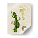 Elegantes Tropicales Iii - Vision Studio | Cuadro decorativo de Canvas Lab