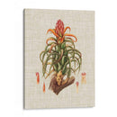 Elegantes Tropicales Iv - Vision Studio | Cuadro decorativo de Canvas Lab