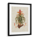 Elegantes Tropicales Iv - Vision Studio | Cuadro decorativo de Canvas Lab