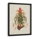 Elegantes Tropicales Iv - Vision Studio | Cuadro decorativo de Canvas Lab