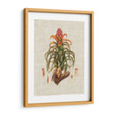 Elegantes Tropicales Iv - Vision Studio | Cuadro decorativo de Canvas Lab