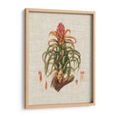 Elegantes Tropicales Iv - Vision Studio | Cuadro decorativo de Canvas Lab